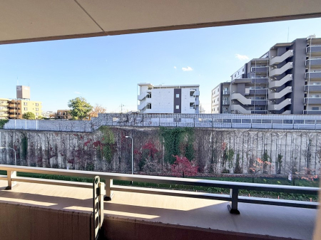 ���̑� �O��