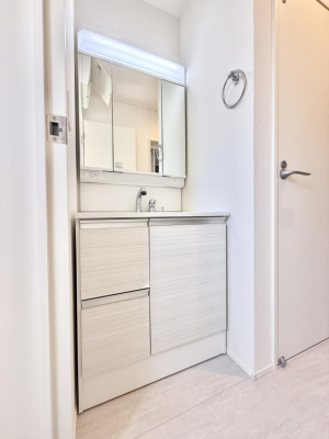 ���ʑ�E���ʏ� �������������Ő������̂�����ʏ�