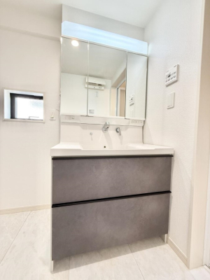 ���ʑ�E���ʏ� ���������̏������X���[�Y�ɂł���L���ł�