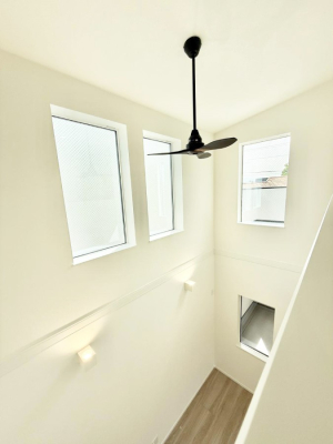 ���̑� �������������ȋ��