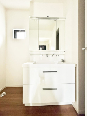 ���ʑ�E���ʏ� ���������̏������X���[�Y�ɂł���L���ł�