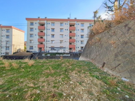 ���n�O�ώʐ^ �O�ρ��Ƒ��݂�Ȃ��Ί�ŉ߂�����A���S���̂���Z�܂�