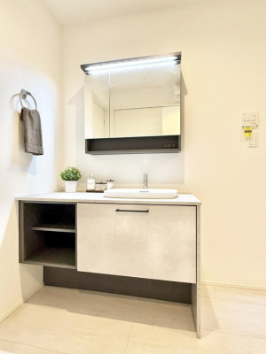 ���ʑ�E���ʏ� ���������̏������X���[�Y�ɂł���L���ł�