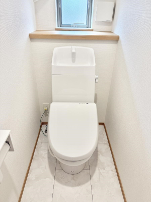 ���̑� ����