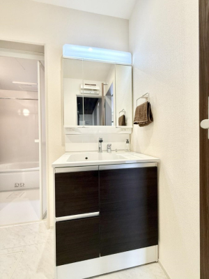 ���ʑ�E���ʏ� ���������̏������X���[�Y�ɂł���L���ł�