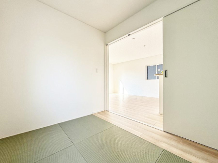 ���̑����� ����