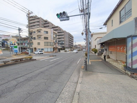 ���n�O�ώʐ^ �O�ρ��D��ȃ��C�����A�������������Ă܂�