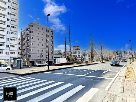 ���n�O�ώʐ^ �O�ρ��D��ȃ��C�����A�������������Ă܂�