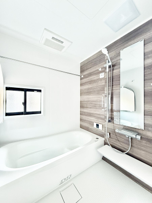 ���� �����������������F�����̕ǖʁA������芰����o�X���[��