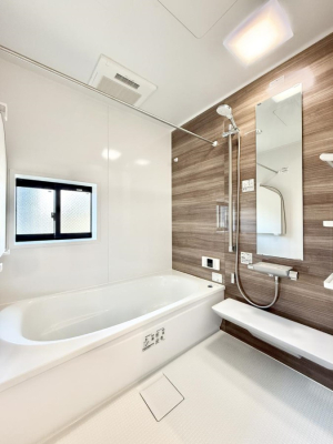 ���� �����������������F�����̕ǖʁA������芰����o�X���[��