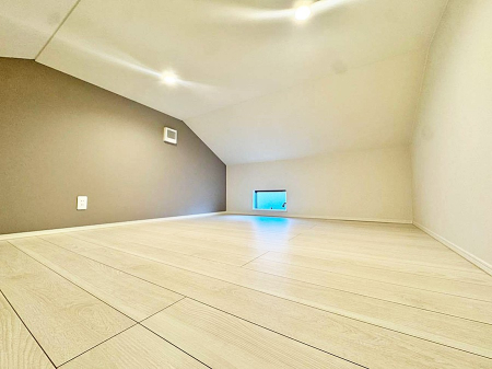 ���̑� ����