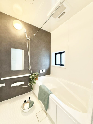 ���� �����������������F�����̕ǖʁA������芰����o�X���[��