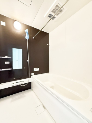 ���� �����������������F�����̕ǖʁA������芰����o�X���[��