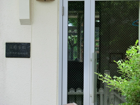 ���ӊ� �c�t���E�ۈ牀 300m �Ђ���̎q�c�t��