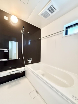 ���� �����������������F�����̕ǖʁA������芰����o�X���[��