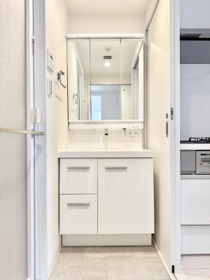 ���ʑ�E���ʏ� ���������̏������X���[�Y�ɂł���L���ł�