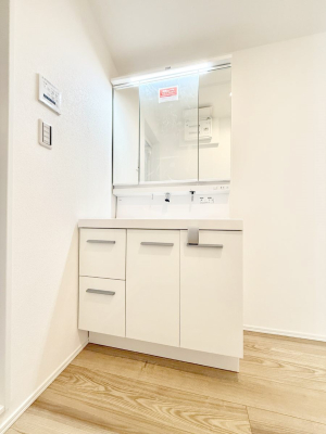 ���ʑ�E���ʏ� ���������̏������X���[�Y�ɂł���L���ł�