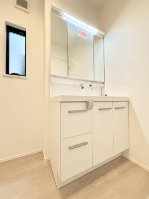 ���ʑ�E���ʏ� �������������Ő������̂�����ʏ�