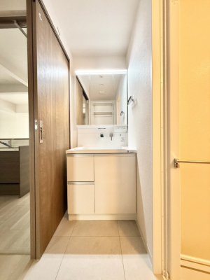 ���ʑ�E���ʏ� �������������Ő������̂�����ʏ�