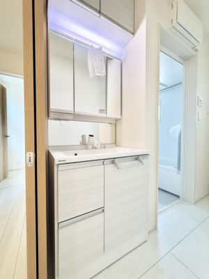 ���ʑ�E���ʏ� ���������̏������X���[�Y�ɂł���L���ł�