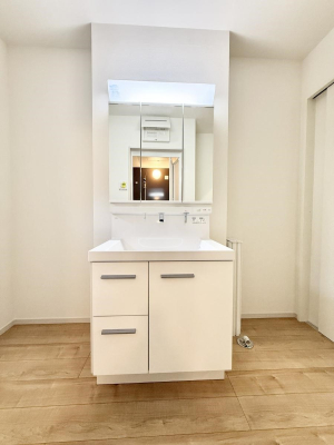 ���ʑ�E���ʏ� ���������̏������X���[�Y�ɂł���L���ł�