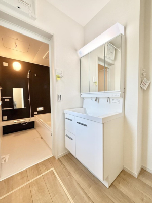 ���ʑ�E���ʏ� ���������̏������X���[�Y�ɂł���L���ł�