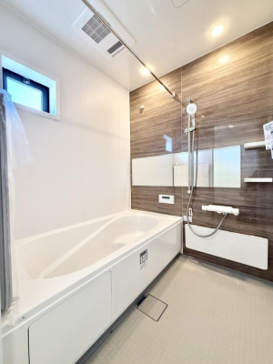 ���� �����������������F�����̕ǖʁA������芰����o�X���[��