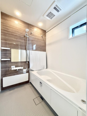 ���� �����������������F�����̕ǖʁA������芰����o�X���[��