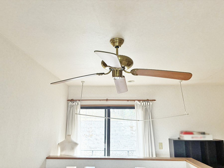 ���̑� ����