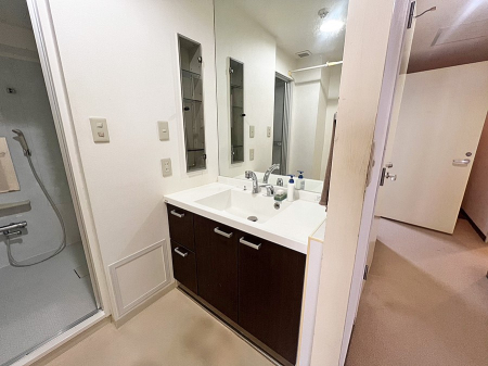 ���ʑ�E���ʏ� ���������̏������X���[�Y�ɂł���L���ł�