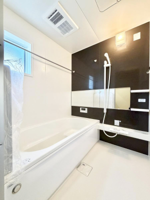 ���� �����������������F�����̕ǖʁA������芰����o�X���[��