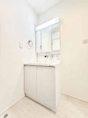 ���ʑ�E���ʏ� ���������̏������X���[�Y�ɂł���L���ł�