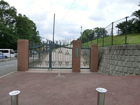 ���ӊ� �c�t���E�ۈ牀 900m ��a�݂ǂ肪�u�c�t��