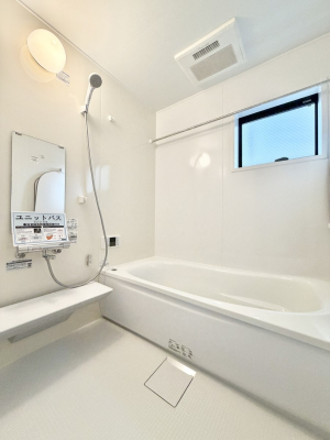 ���� ����