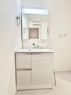 ���ʑ�E���ʏ� ���������̏������X���[�Y�ɂł���L���ł�