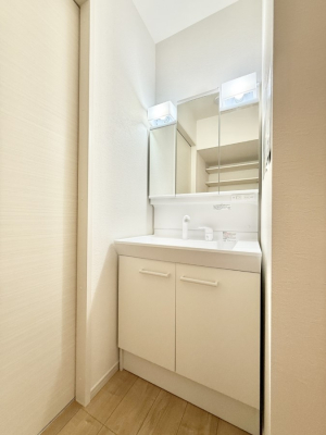 ���ʑ�E���ʏ� ���������̏������X���[�Y�ɂł���L���ł�