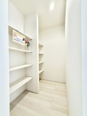 ���[ ����