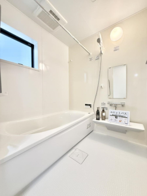 ���� �����������������F�����̕ǖʁA������芰����o�X���[��