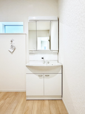 ���ʑ�E���ʏ� ���������̏������X���[�Y�ɂł���L���ł�