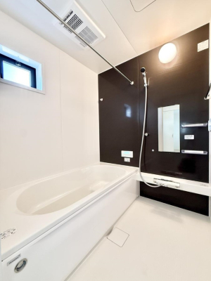 ���� �����������������F�����̕ǖʁA������芰����o�X���[��