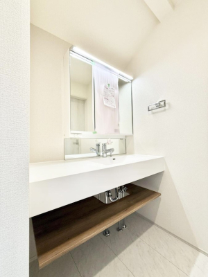 ���ʑ�E���ʏ� ���������̏������X���[�Y�ɂł���L���ł�