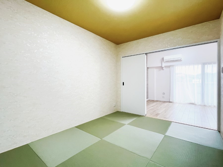 ���̑����� ����