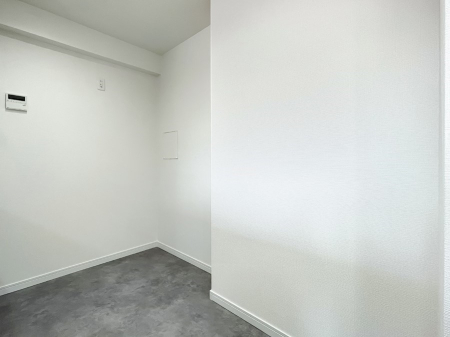 ���̑� ����