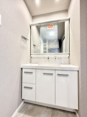 ���ʑ�E���ʏ� �������������Ő������̂�����ʏ�