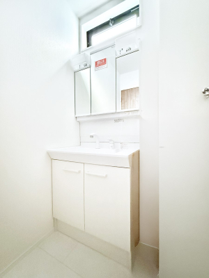 ���ʑ�E���ʏ� ���������̏������X���[�Y�ɂł���L���ł�