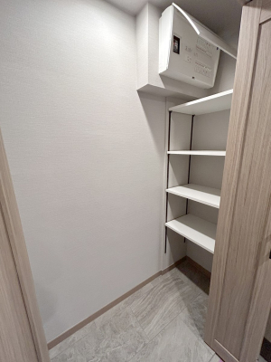 ���̑� ����