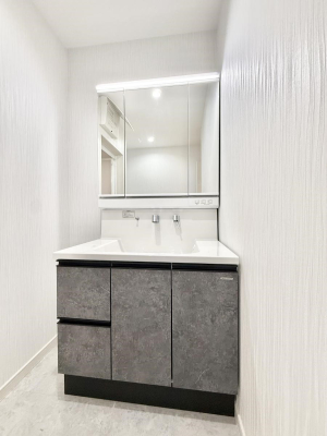 ���ʑ�E���ʏ� �������������Ő������̂�����ʏ�