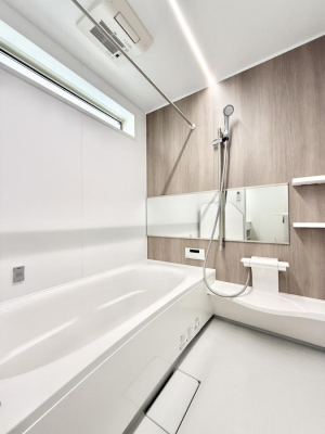 ���� �����������������F�����̕ǖʁA������芰����o�X���[��