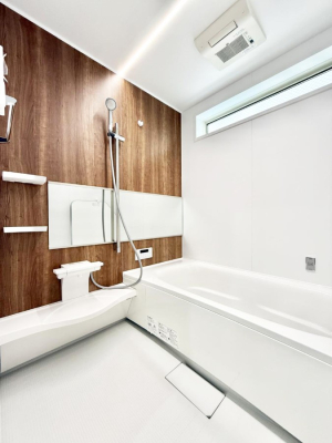 ���� �����������������F�����̕ǖʁA������芰����o�X���[��