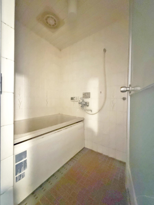 ���� �����������������F�����̕ǖʁA������芰����o�X���[��